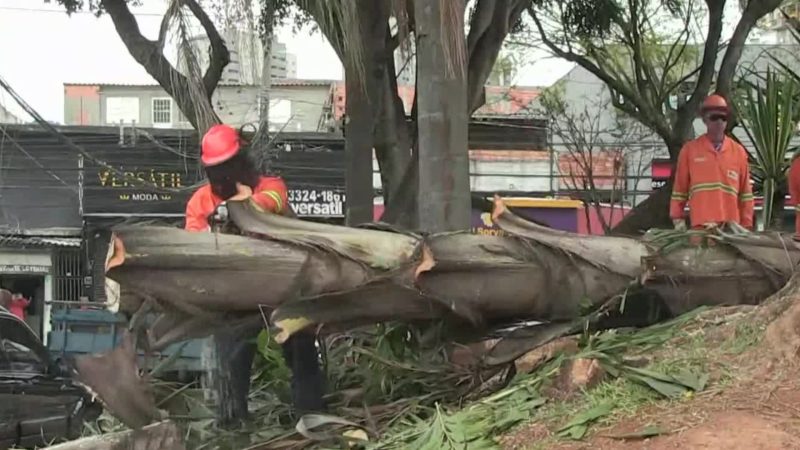 Sudeste entra em alerta para temporais e ventos de até 100 KM/H