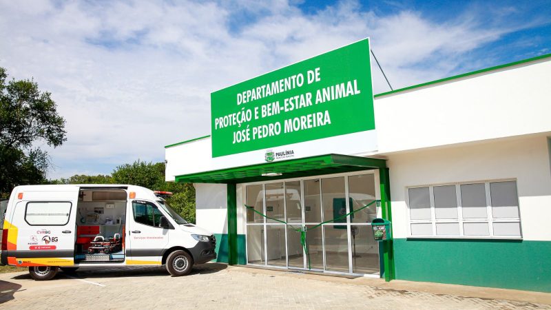 A Prefeitura de Paulínia abriu as inscrições para os interessados em participar do Conselho Municipal de Bem-Estar Animal (COMBEA) – Jornal Aqui Paulínia