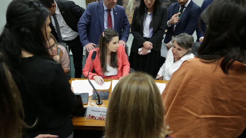 CCJ: PEC que proíbe aborto legal pode ser votada nesta terça na Câmara