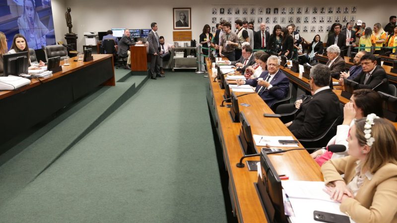 Câmara: CCJ aprova PEC que proíbe aborto legal no Brasil