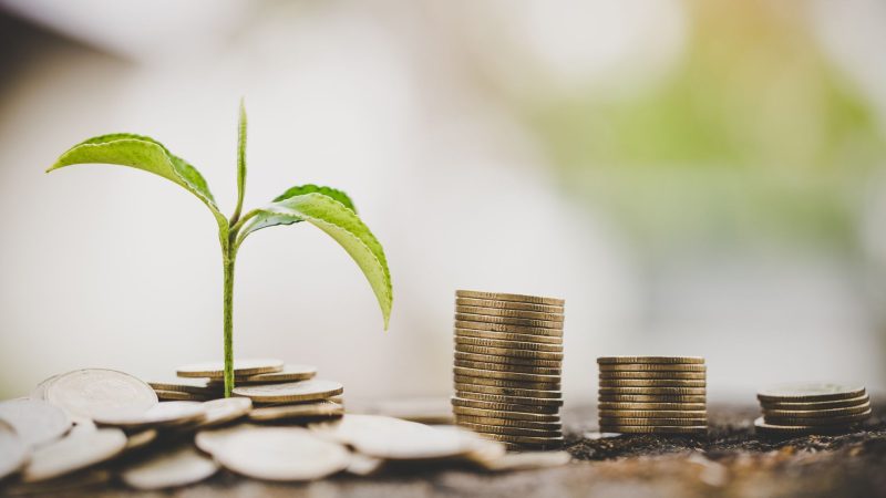 Cartilha ensina como acessar crédito rural pelo Pronaf
