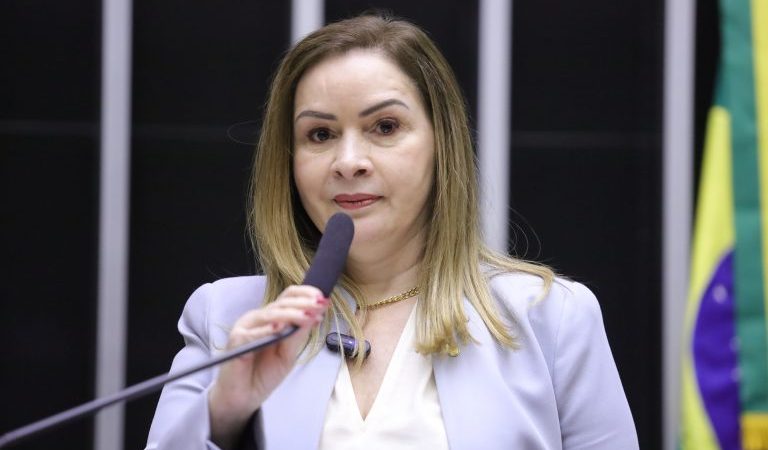 Comissão aprova projeto que institui programa de microcrédito para mulheres – Notícias