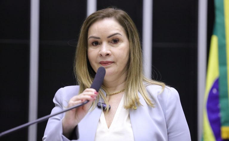 Comissão aprova projeto que institui programa de microcrédito para mulheres – Notícias