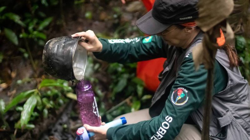 Como purificar a água em trilhas – 13/11/2024 – É Logo Ali