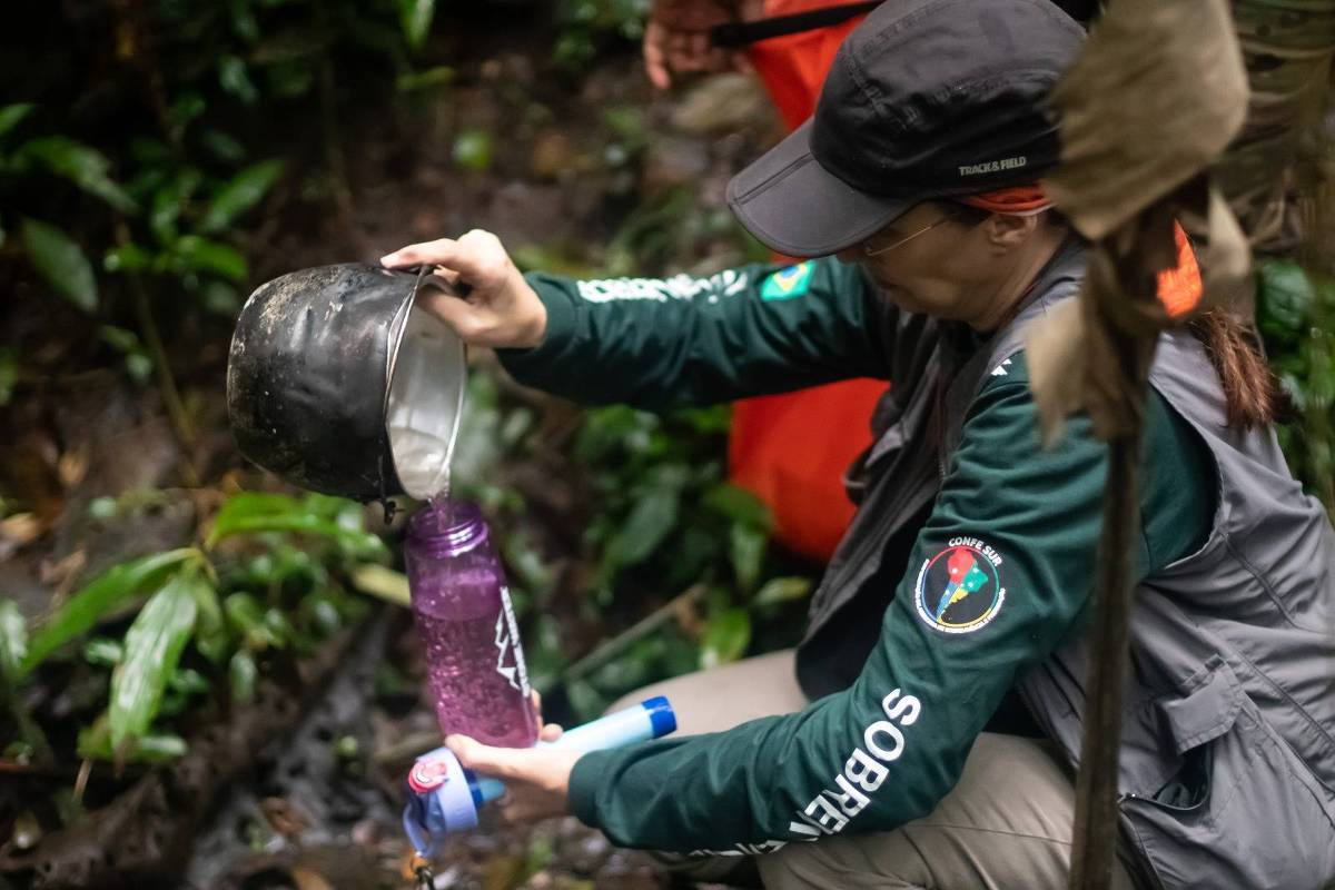 Como purificar a água em trilhas – 13/11/2024 – É Logo Ali