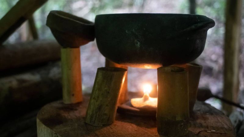Como purificar água na natureza – 20/11/2024 – É Logo Ali