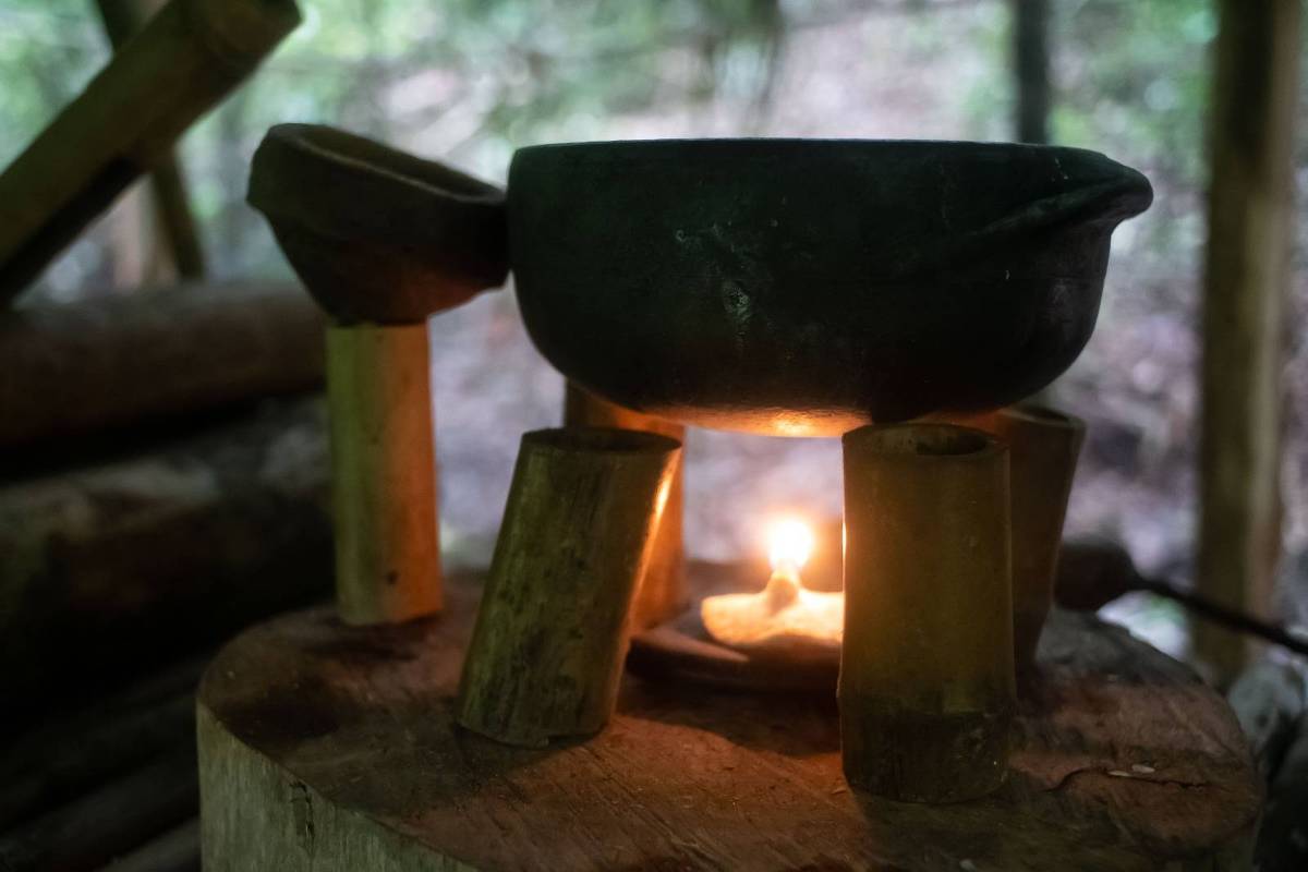Como purificar água na natureza – 20/11/2024 – É Logo Ali