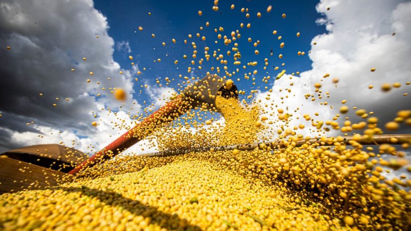 Conab estima produção de 322 milhões de toneladas de grãos na safra 2024/25