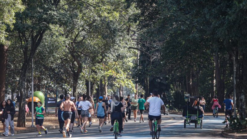 Concessionária do Parque Ibirapuera começa a cobrar taxa de assessorias esportivas