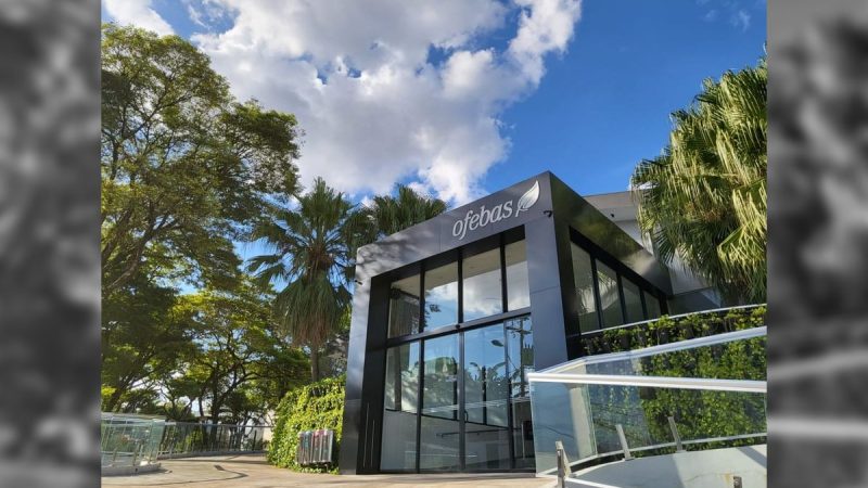 Dia de Finados tem pintura coletiva no muro da antiga estação ferroviária em Sorocaba
