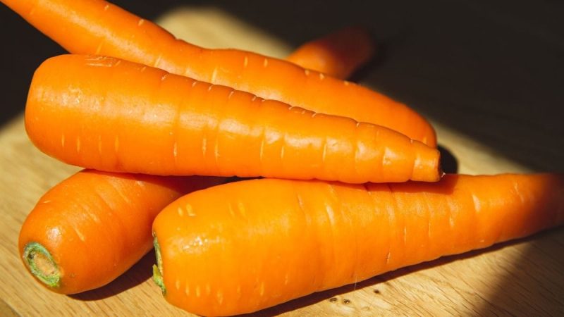 EUA determinam o recolhimento de cenouras após contaminação da bactéria E-Coli