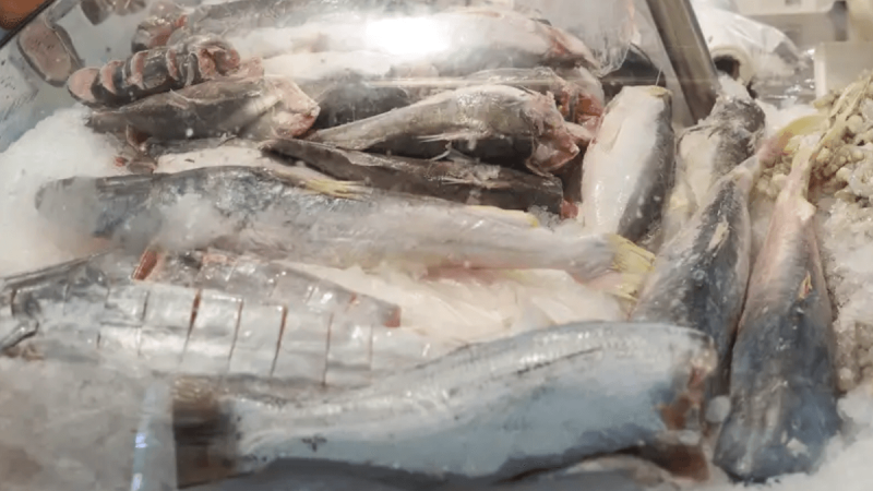 Exportação de peixe brasileiro cresce 72% no segundo trimestre