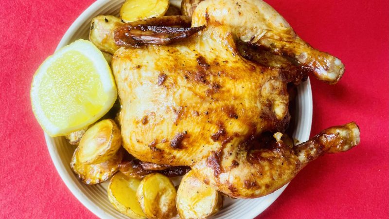 Frango assado em casa: comprei TV de cachorro com desconto – 28/11/2024 – Cozinha Bruta
