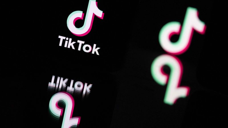 Governo processa TikTok por contas de menores de idade – 04/11/2024 – Cotidiano