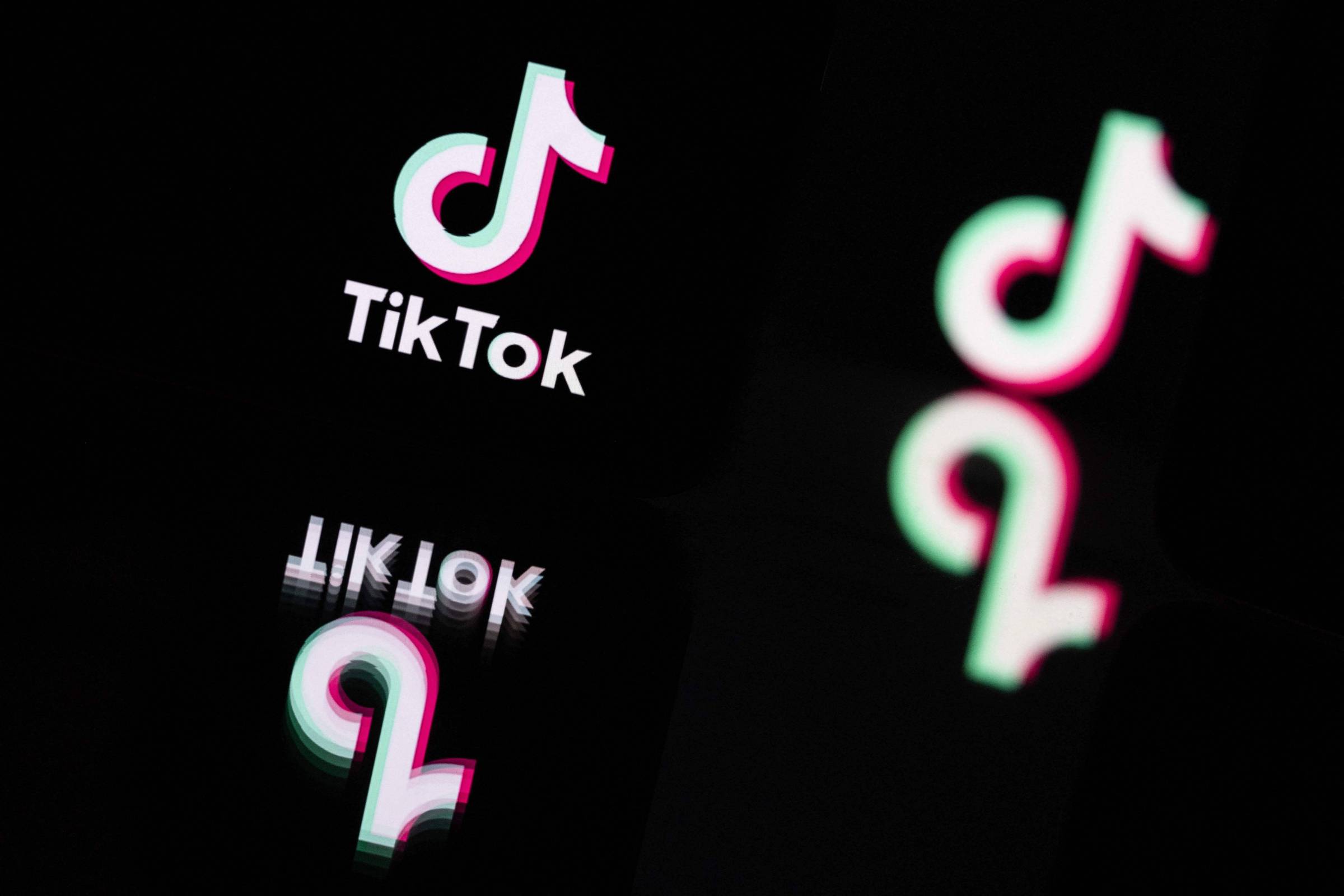 Governo processa TikTok por contas de menores de idade – 04/11/2024 – Cotidiano