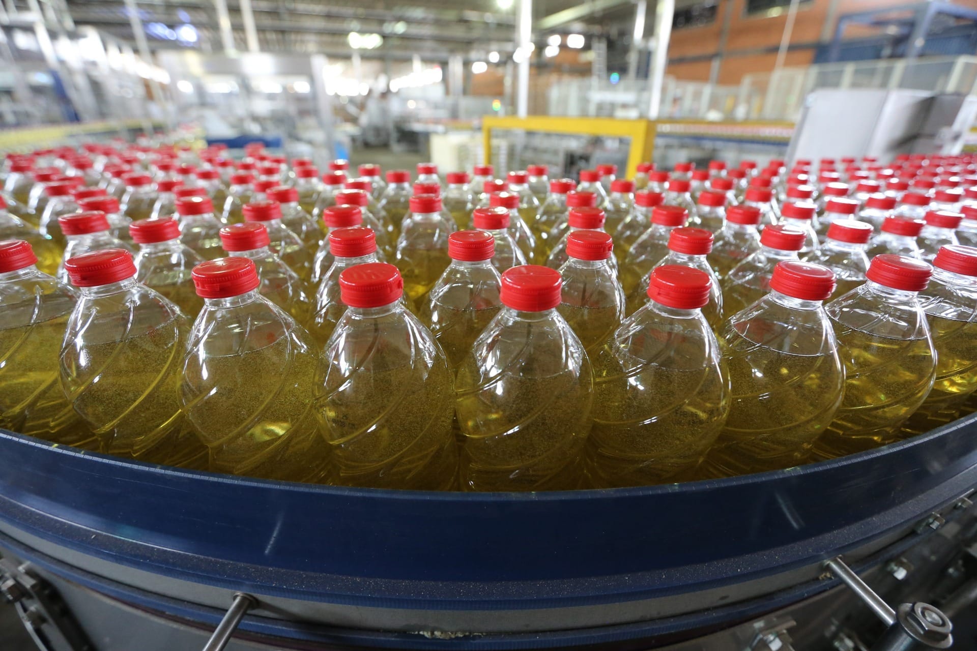 Impostos sobre óleo vegetais comestíveis podem impactar preços de alimentos em 2025