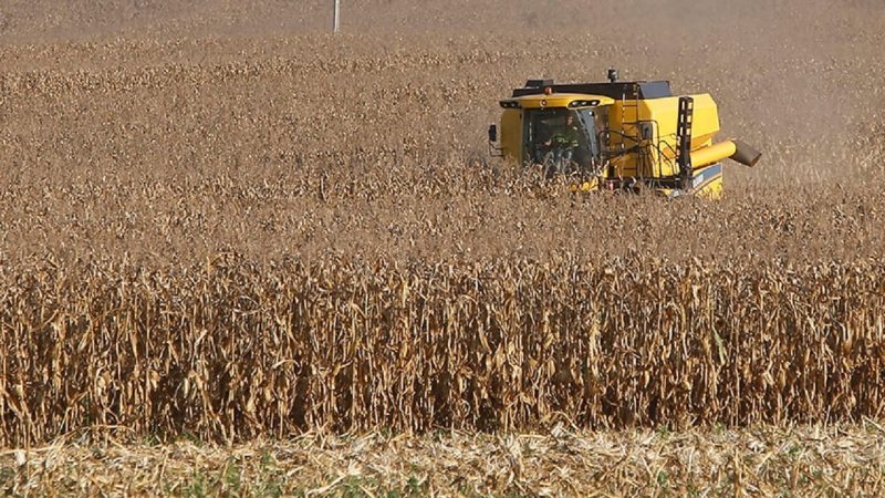 Mato Grosso lidera o uso de bioinsumos no Brasil; assista ao Giro Brasil