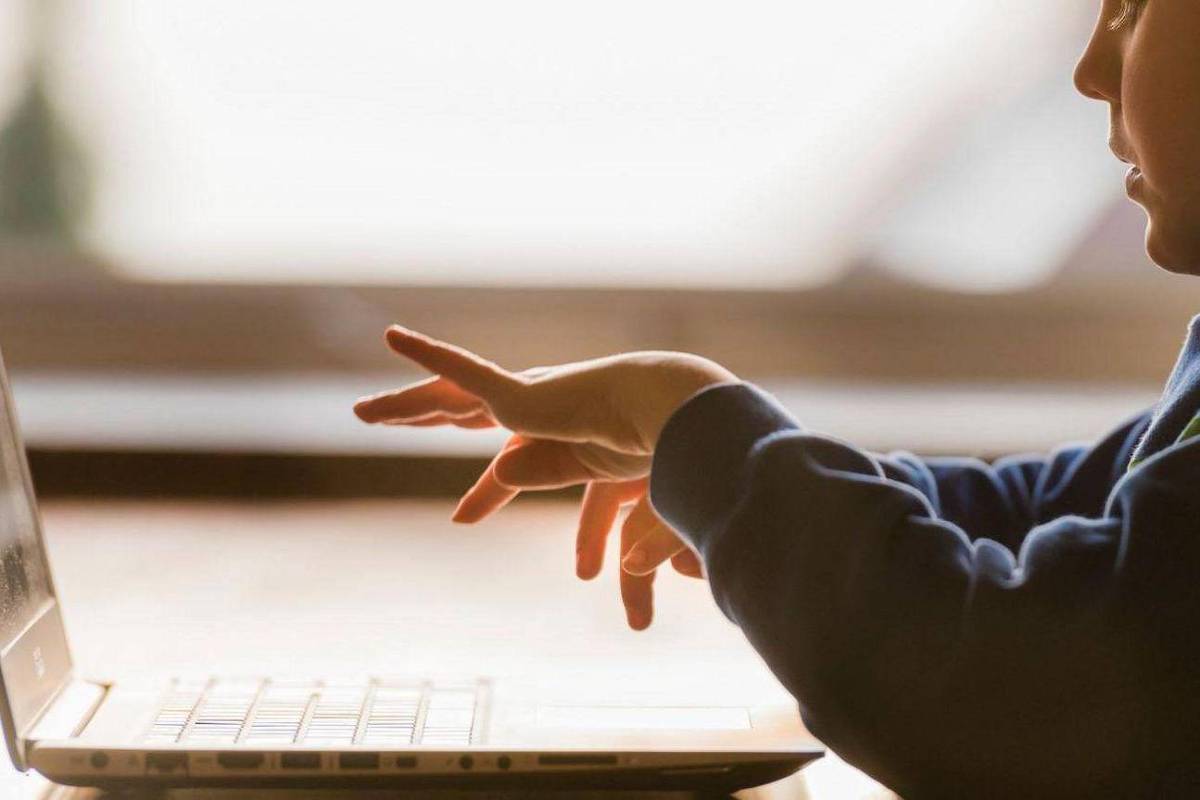 Mozart da programação tem 7 anos e teve oferta de emprego – 21/11/2024 – Tec