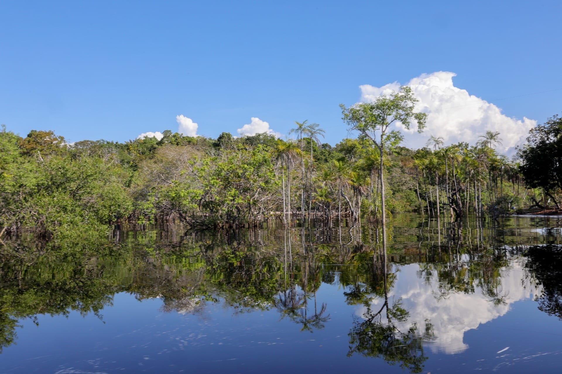 Noruega anuncia doação de US$ 60 milhões ao Fundo Amazônia no Rio