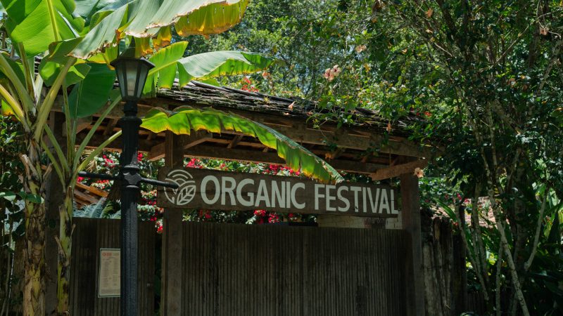 Organic Festival Trancoso reuniu chefs e sustentabilidade – 27/11/2024 – Turismo