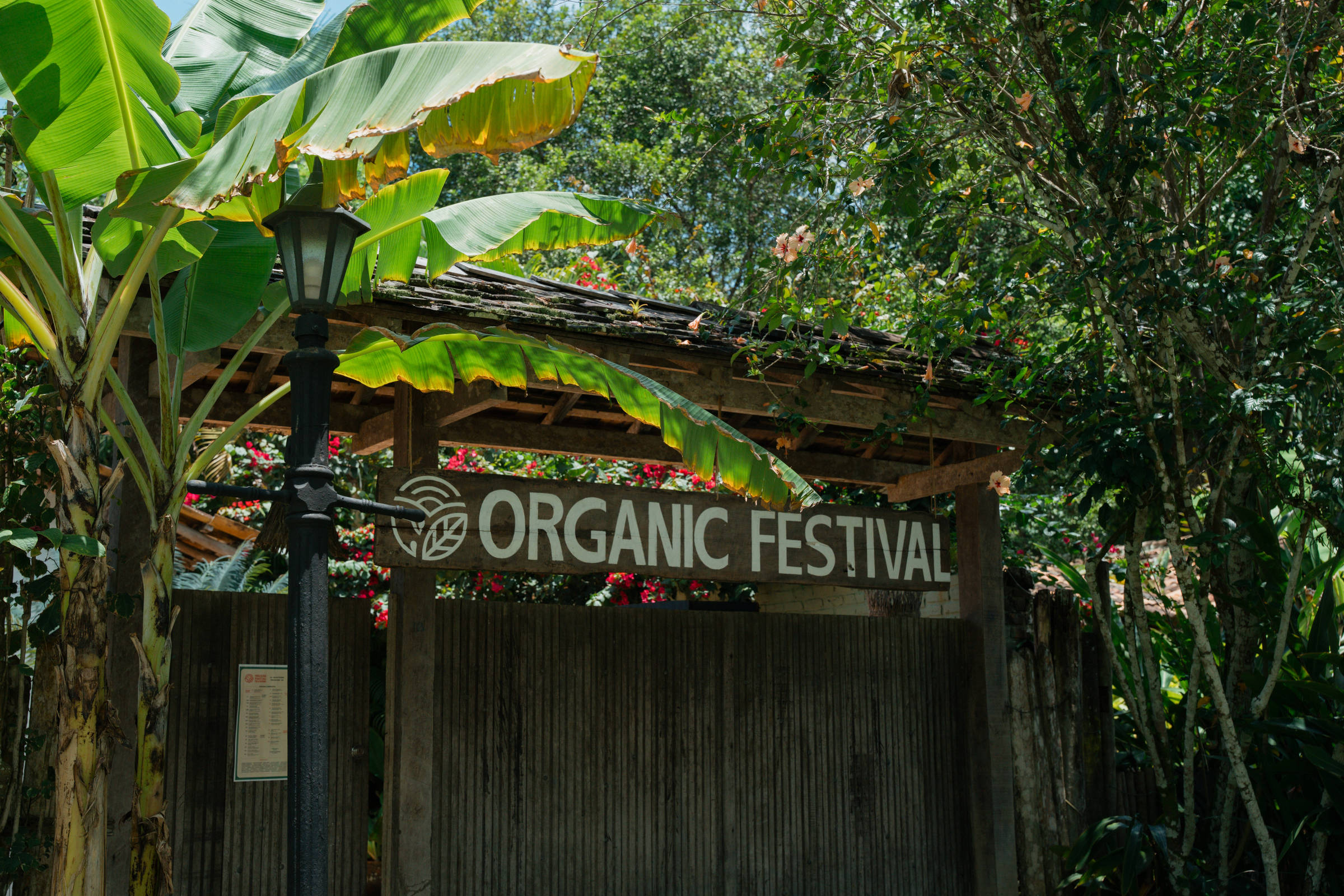 Organic Festival Trancoso reuniu chefs e sustentabilidade – 27/11/2024 – Turismo