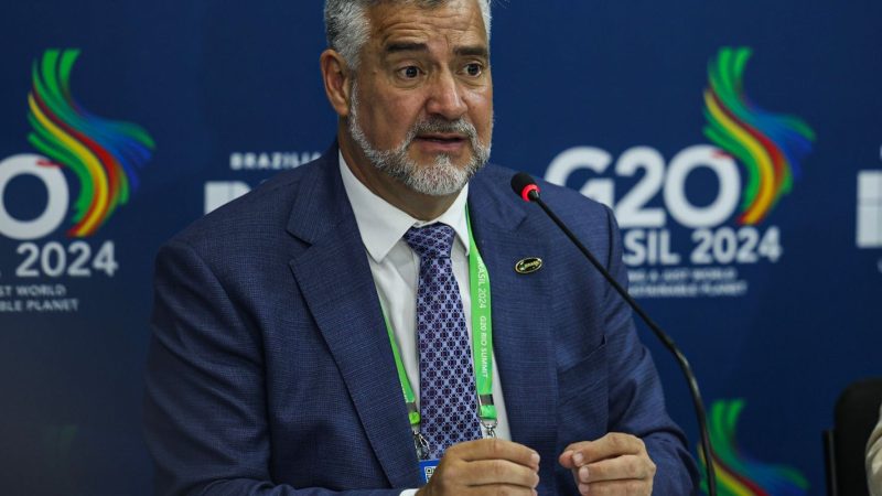 Pimenta vê “participação direta” do governo Bolsonaro nos crimes citad