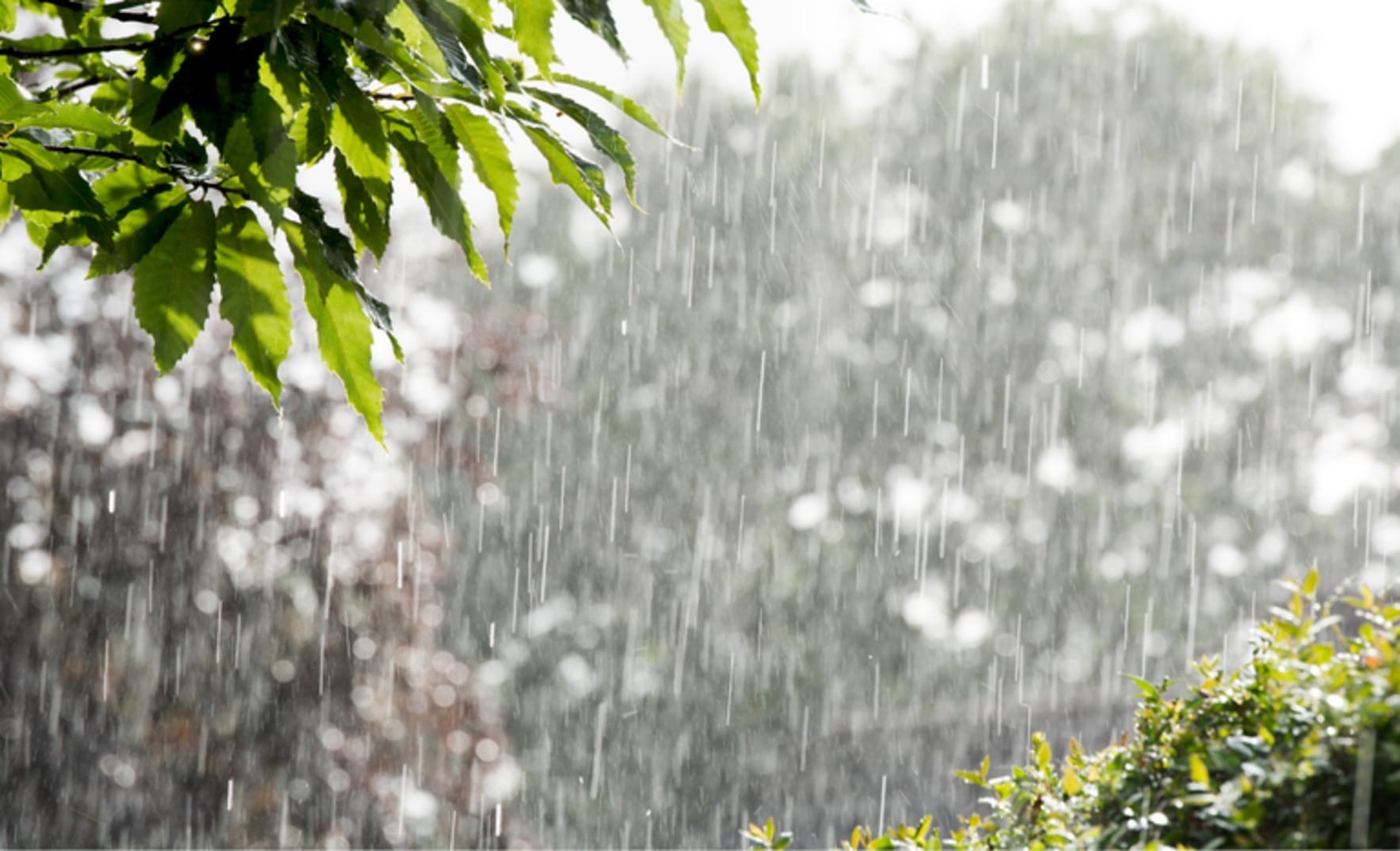 Possibilidade de chuva forte no Vale do Paraíba
