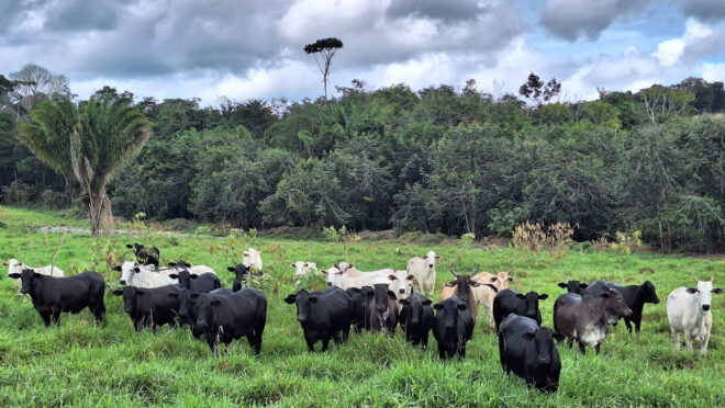 Produtores da Amazônia negam rótulo de vilões do meio ambiente