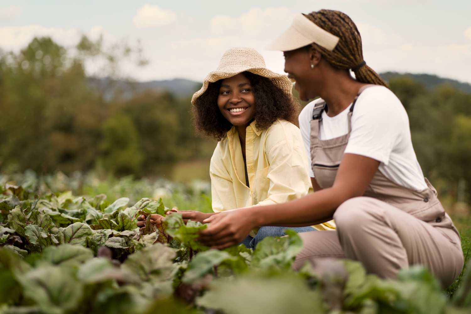 Projeto que prevê regras de controle sanitário para produtos da agricultura familiar é aprovado