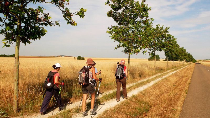Santiago da Compostela: veja opções de luxo para a viagem – 19/11/2024 – Turismo