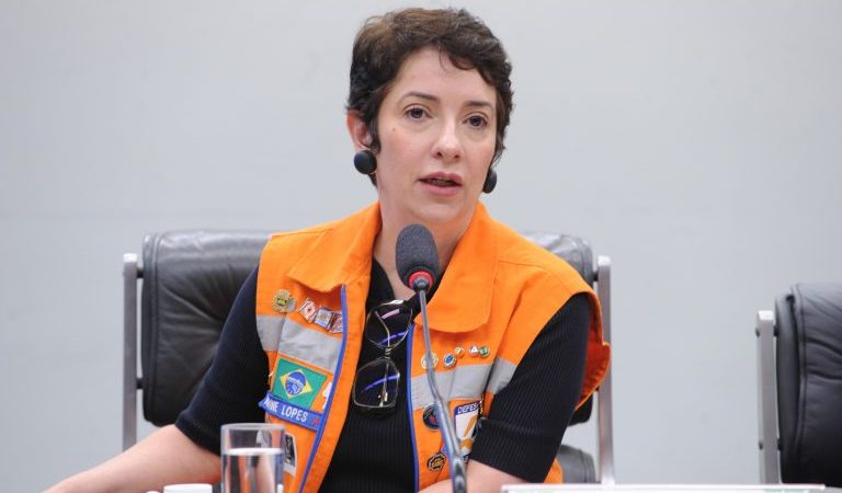 Técnicos do governo pedem recursos constantes para mitigação de desastres climáticos – Notícias