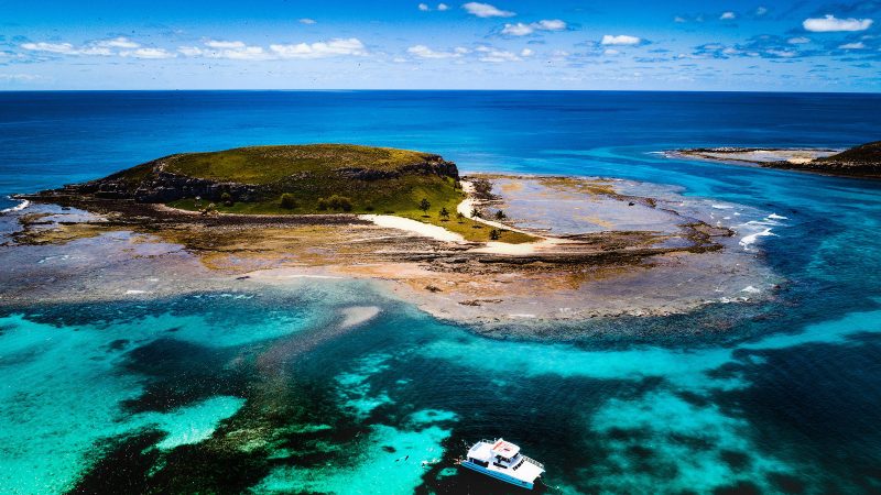 Abrolhos é paraíso para avistar baleias-jubarte – 18/12/2024 – Turismo