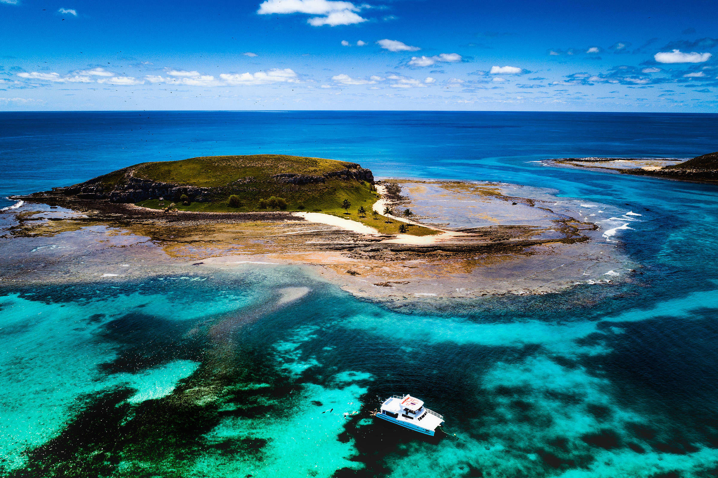 Abrolhos é paraíso para avistar baleias-jubarte – 18/12/2024 – Turismo