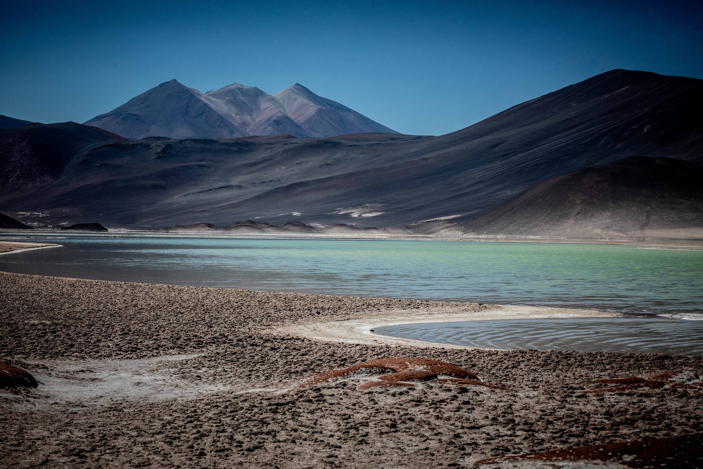 Atacama, no Chile, é uma explosão de cores e sensações – 12/12/2024 – Turismo