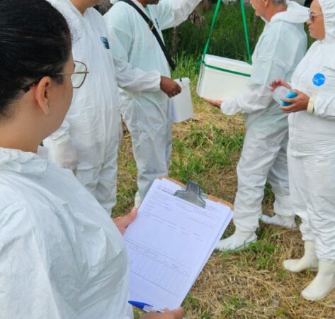 Hortolândia começa a realizar pesquisa acarológica para verificar presença de carrapatos em áreas públicas – Jornal Aqui Paulínia