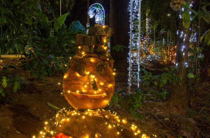 Hortolândia prorroga até sábado (21/12) programação do Natal Sustentável – Jornal Aqui Paulínia