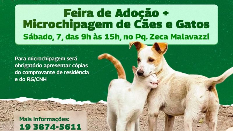 Neste sábado, 7, a Prefeitura promoverá uma Feira de Adoção PET no Parque Zeca Malavazzi, das 9h às 15h30. – Jornal Aqui Paulínia
