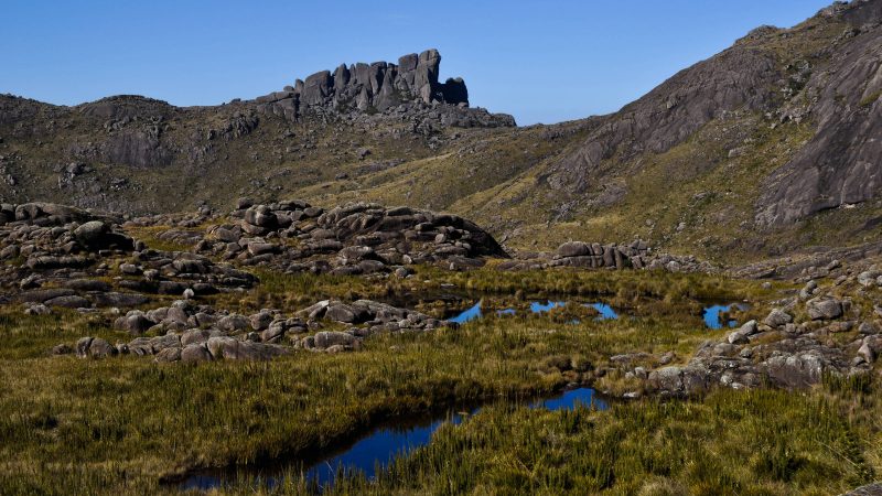 Parque Nacional Itatiaia: conheça as trilhas e cachoeiras – 10/12/2024 – Turismo