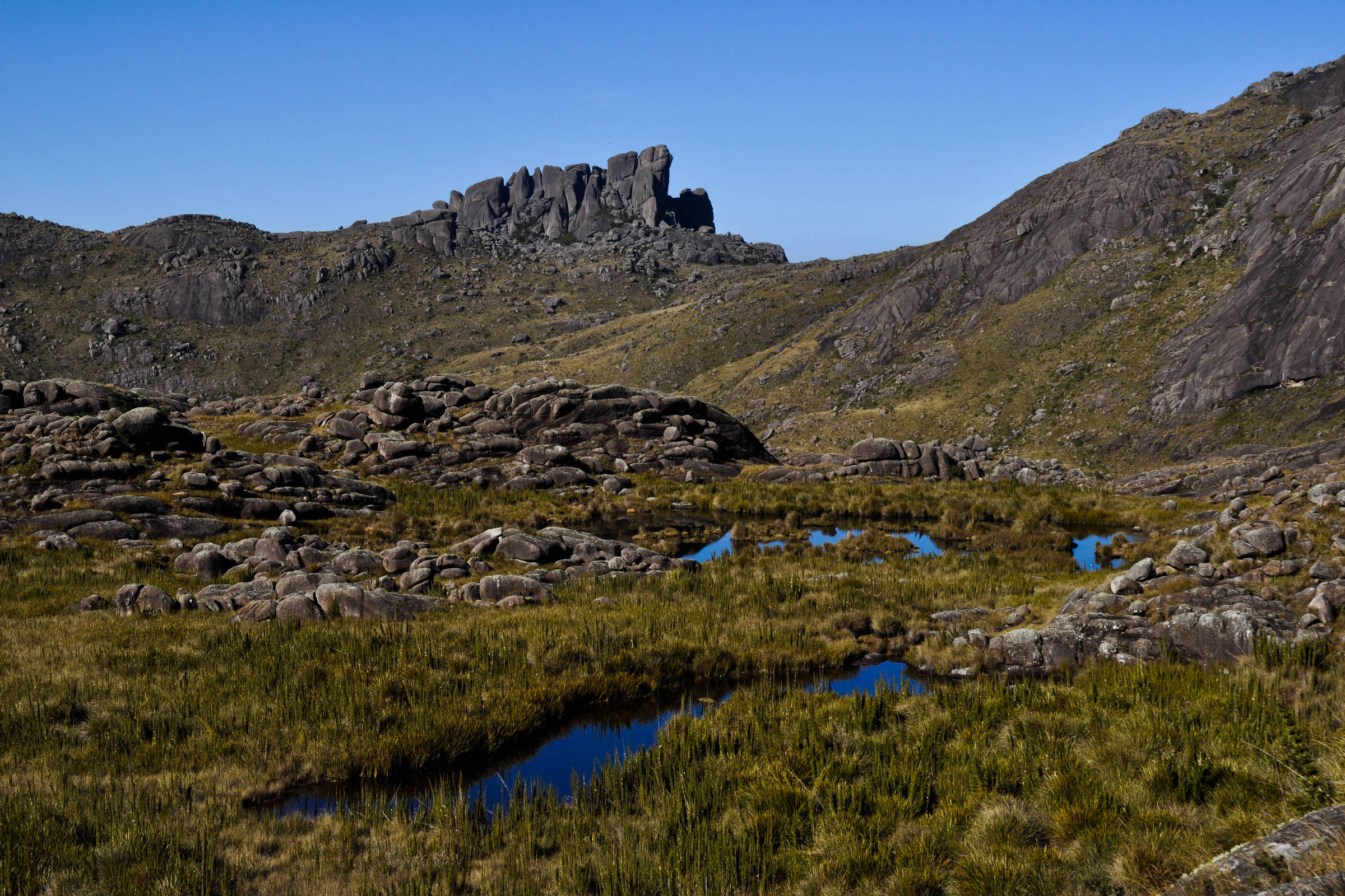 Parque Nacional Itatiaia: conheça as trilhas e cachoeiras – 10/12/2024 – Turismo
