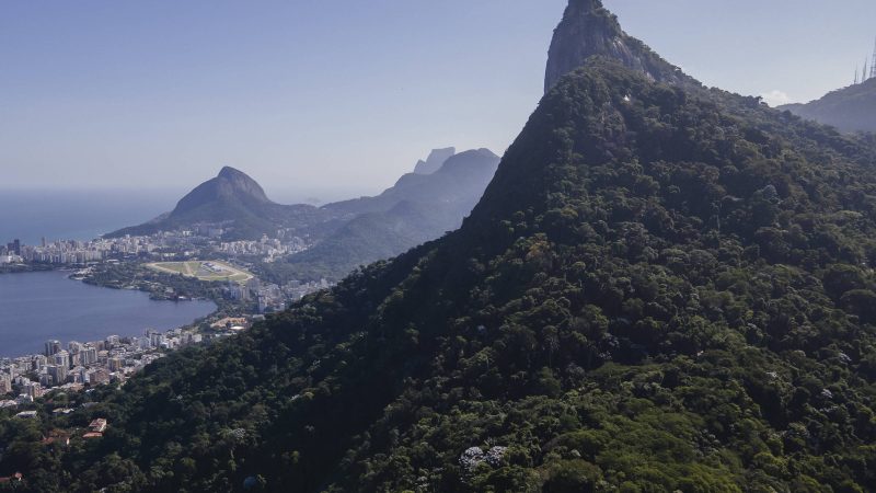 Parque da Tijuca e Corcovado terão R$ 75 milhões em obras – 03/12/2024 – Turismo
