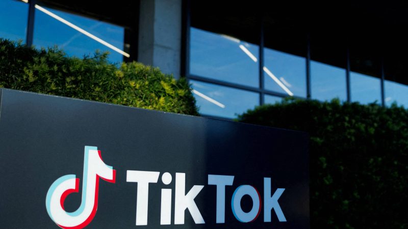 TikTok pede suspensão temporária da proibição nos EUA – 09/12/2024 – Tec