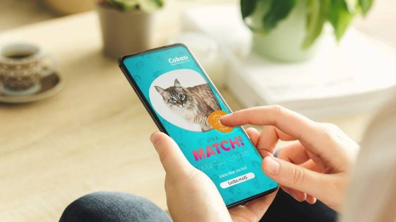 Tinder: ter cachorro faz mais sucesso do que ter gato – 03/12/2024 – Tec