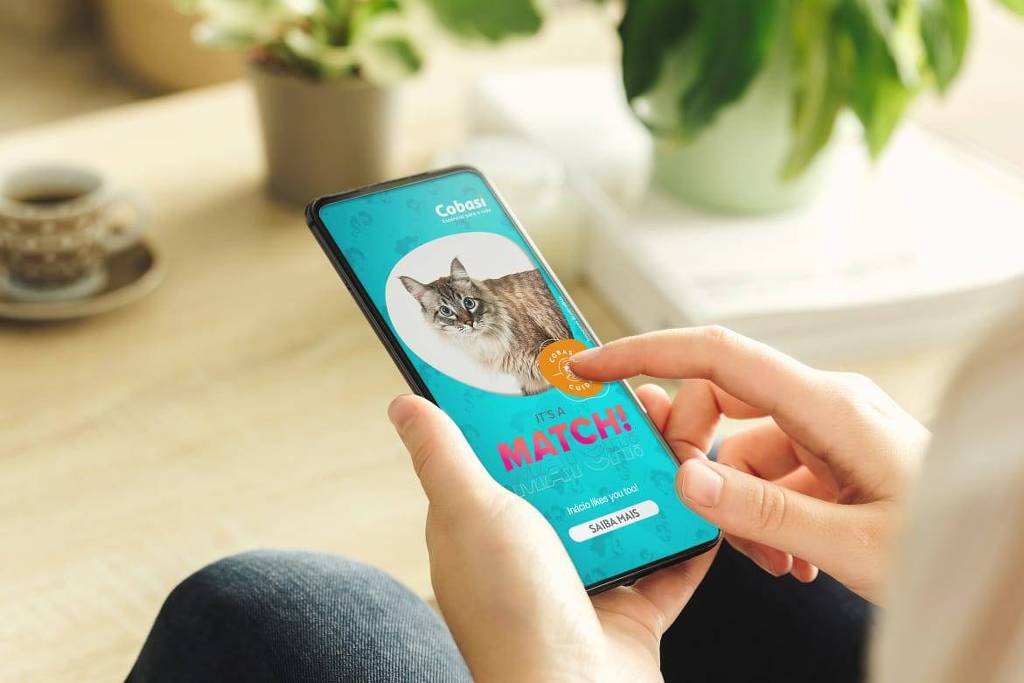 Tinder: ter cachorro faz mais sucesso do que ter gato – 03/12/2024 – Tec