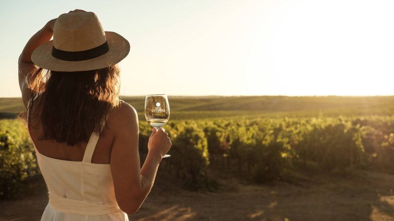 Vinícolas do Alentejo atraem amantes de vinhos e azeites – 20/12/2024 – Turismo