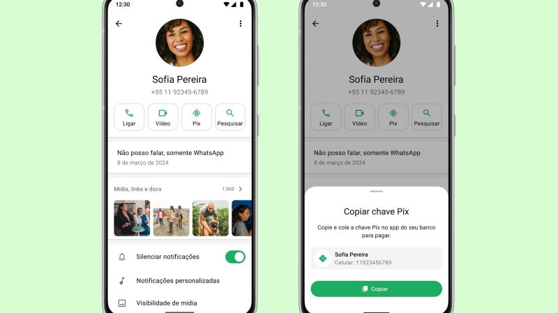 WhatsApp adiciona botão para informar chave Pix no perfil – 19/12/2024 – Tec