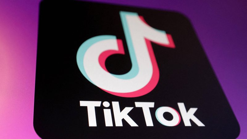 Como baixar seus vídeos e outros dados pessoais do TikTok – 17/01/2025 – Tec