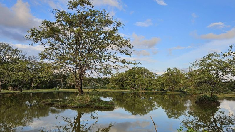 Ilha de Marajó: o que conhecer numa viagem – 15/01/2025 – Turismo