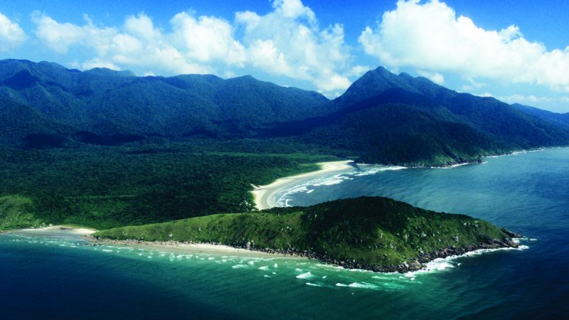 Ilha do Cardoso é refúgio preservado da mata atlântica – 08/01/2025 – Turismo