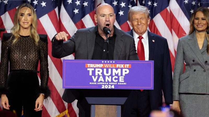 Meta indica Dana White, CEO do UFC, para conselho – 06/01/2025 – Tec