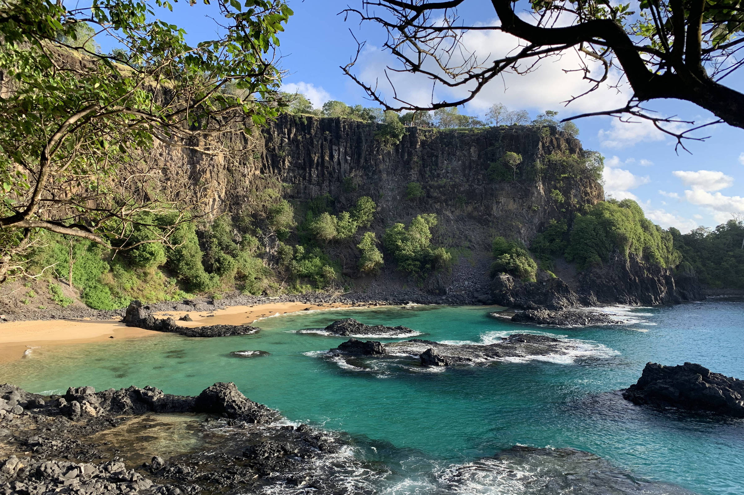 Noronha é um paraíso tropical intocado e imperdível – 29/01/2025 – Turismo